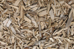 biomass boilers Priestacott