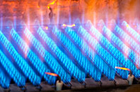Priestacott gas fired boilers